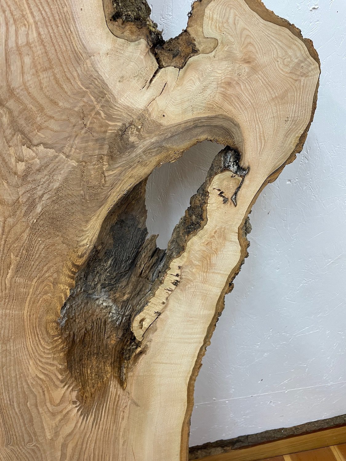 OLIVE ASH CROTCH Natural Waney Edge Slab Milled Finish Hardwood Board 1537C-7 Thickness 6cm Kiln Dried Seasoned Live Edge Desktops Coffee Tabletops Wildwood - Image 19