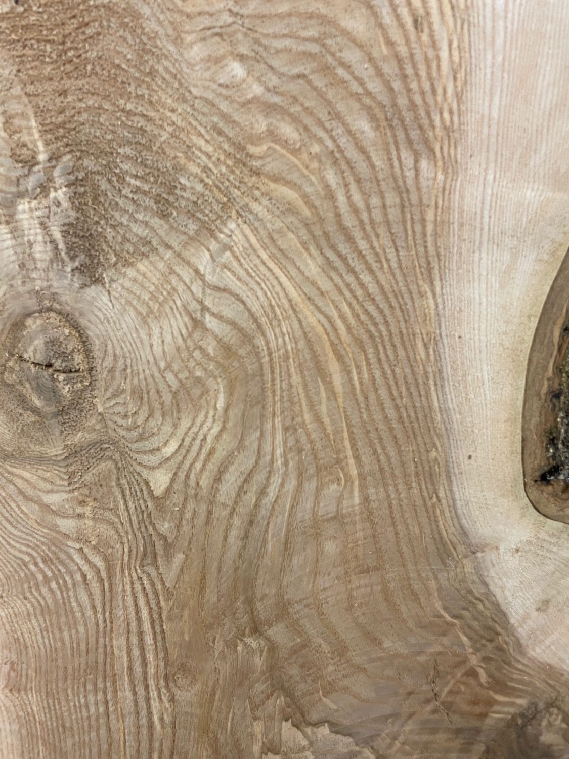 OLIVE ASH CROTCH Natural Waney Edge Slab Milled Finish Hardwood Board 1537C-7 Thickness 6cm Kiln Dried Seasoned Live Edge Desktops Coffee Tabletops Wildwood - Image 20