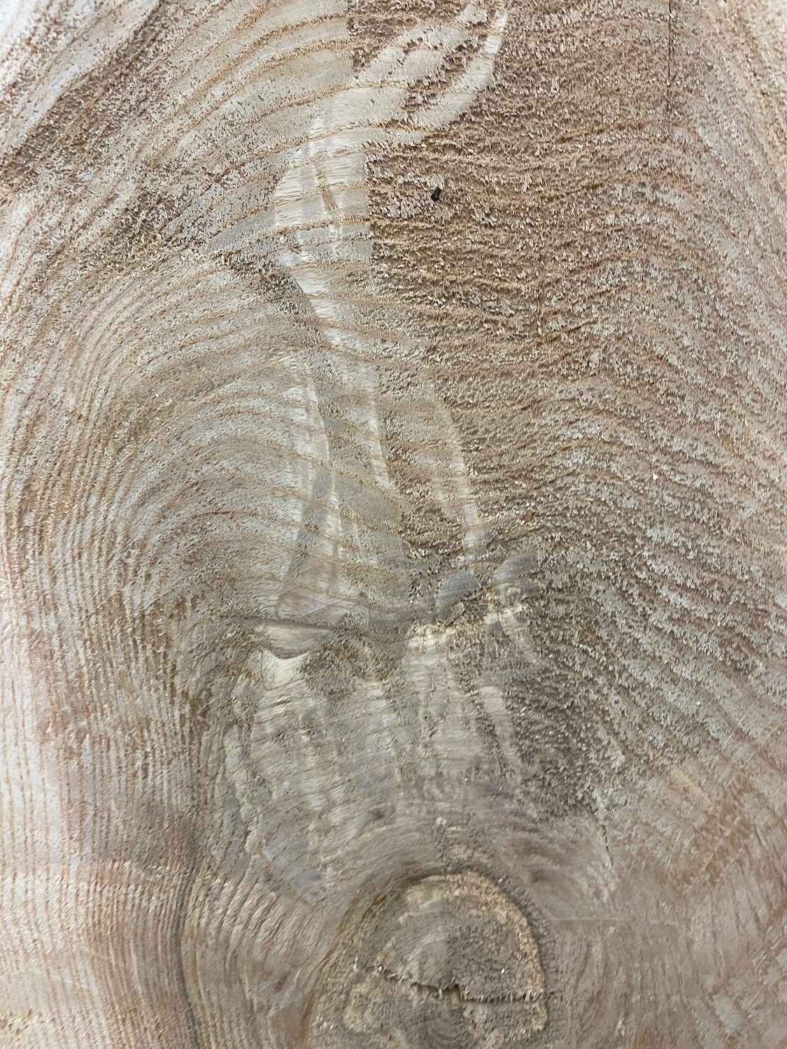 OLIVE ASH CROTCH Natural Waney Edge Slab Milled Finish Hardwood Board 1537C-7 Thickness 6cm Kiln Dried Seasoned Live Edge Desktops Coffee Tabletops Wildwood - Image 21