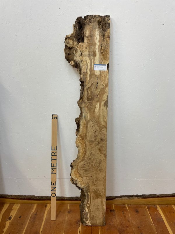 BURRY FIGURED SPALTED Single Waney Edge Slab Planed Finish Hardwood Board 1322-3 Thickness 5cm Kiln Dried Seasoned Live Edge Wildwood Shelves Mantels