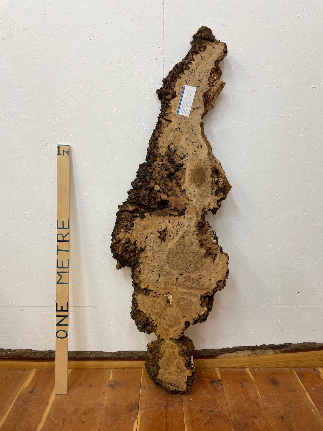 BURR OAK Waney Edge Slab Planed Finish Hardwood Board 1547A-1 Thickness 5.5cm Kiln Dried Seasoned Live Edge Decorative Board Wildwood