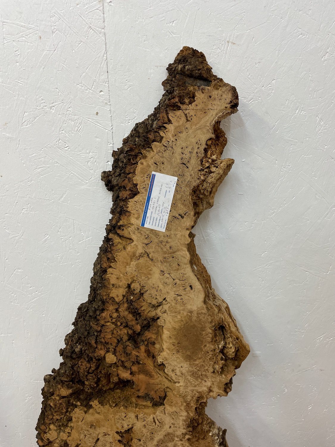 BURR OAK Waney Edge Slab Planed Finish Hardwood Board 1547A-1 Thickness 5.5cm Kiln Dried Seasoned Live Edge Decorative Board Wildwood - Image 4