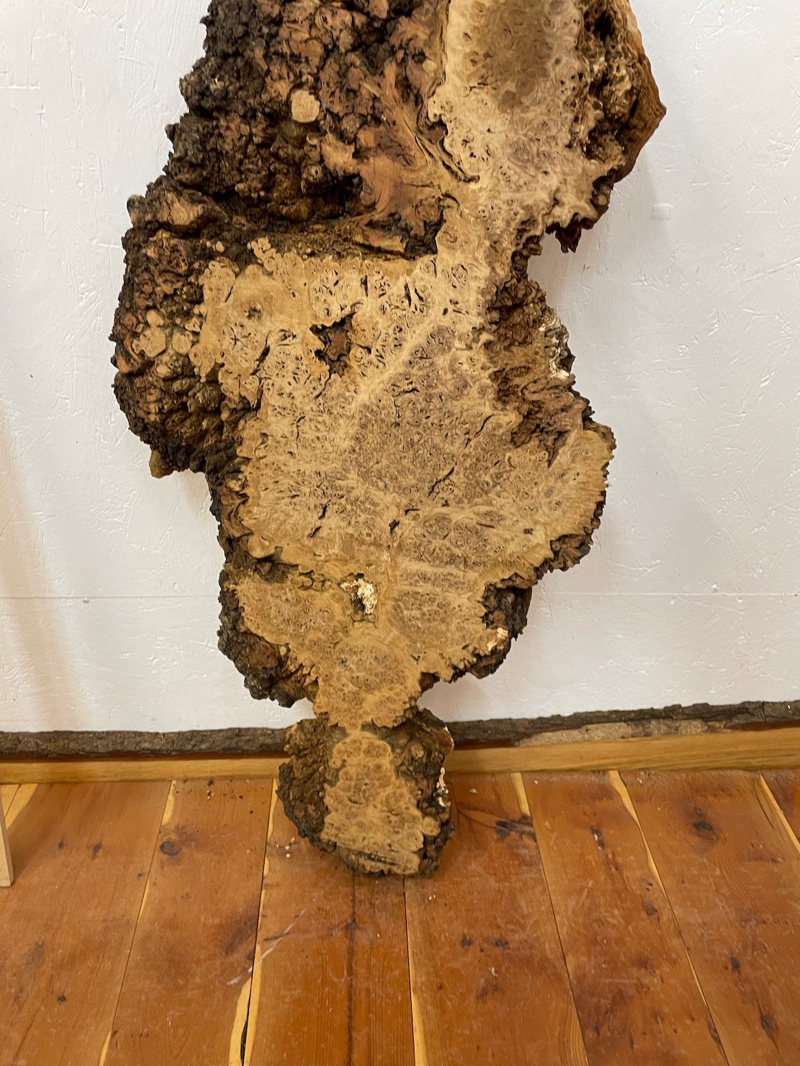 BURR OAK Waney Edge Slab Planed Finish Hardwood Board 1547A-1 Thickness 5.5cm Kiln Dried Seasoned Live Edge Decorative Board Wildwood - Image 5