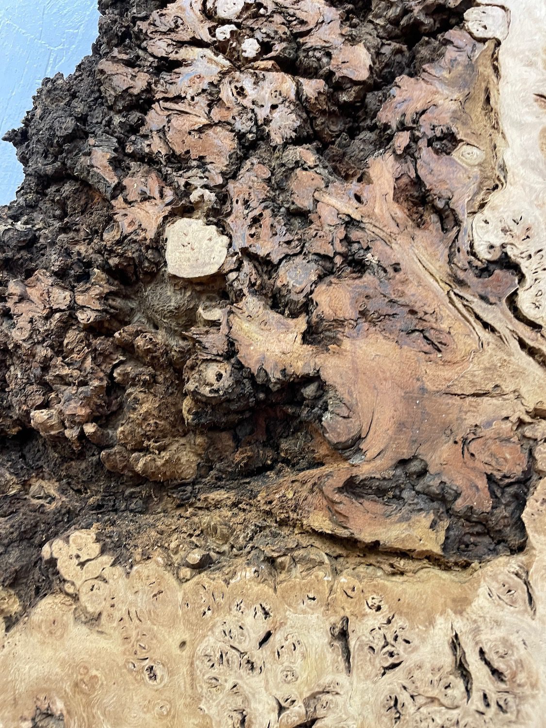 BURR OAK Waney Edge Slab Planed Finish Hardwood Board 1547A-1 Thickness 5.5cm Kiln Dried Seasoned Live Edge Decorative Board Wildwood - Image 7