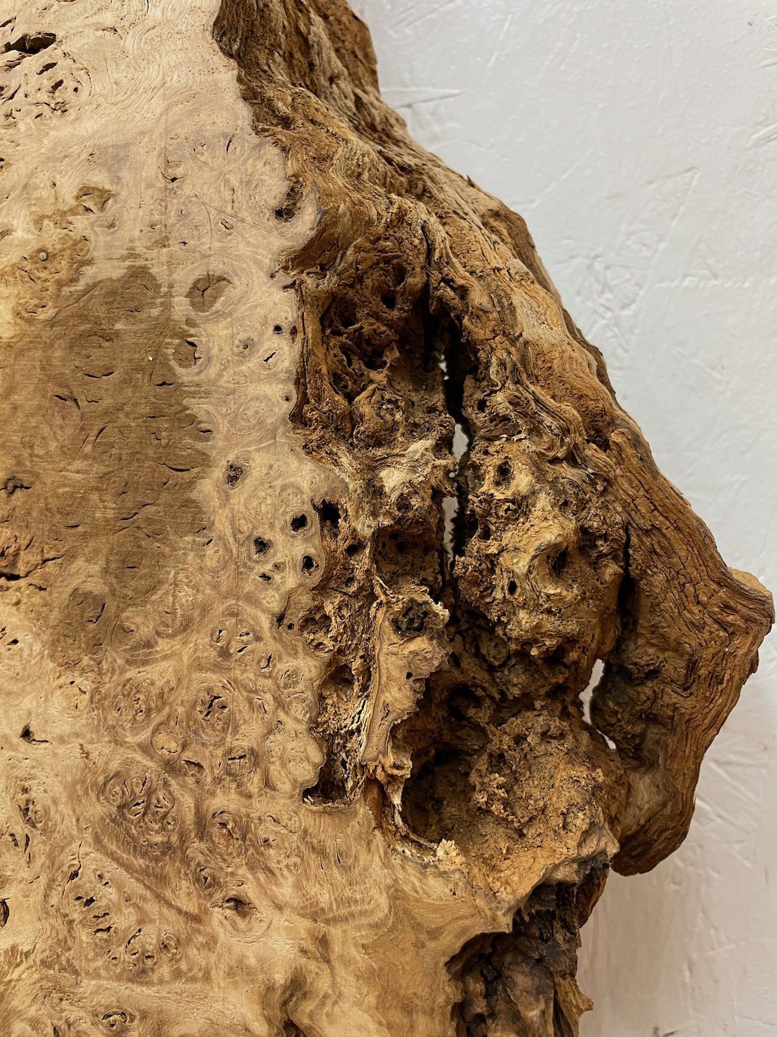 BURR OAK Waney Edge Slab Planed Finish Hardwood Board 1547A-1 Thickness 5.5cm Kiln Dried Seasoned Live Edge Decorative Board Wildwood - Image 8