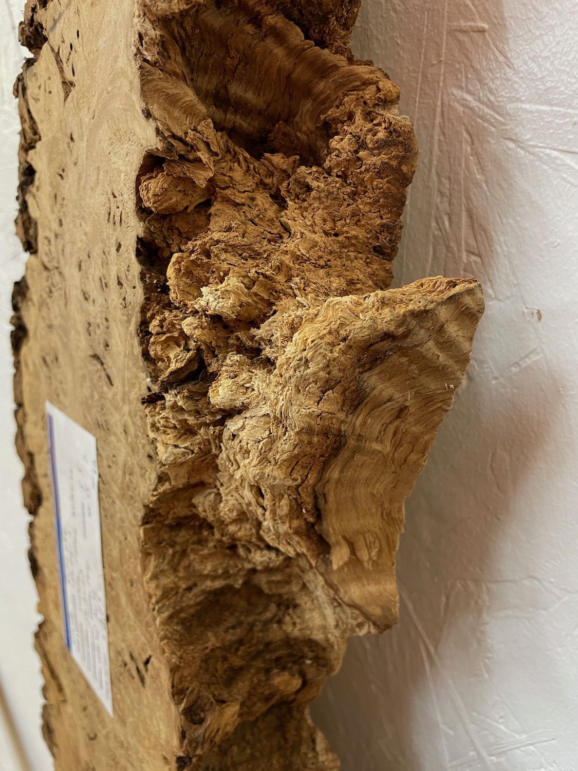 BURR OAK Waney Edge Slab Planed Finish Hardwood Board 1547A-1 Thickness 5.5cm Kiln Dried Seasoned Live Edge Decorative Board Wildwood - Image 9