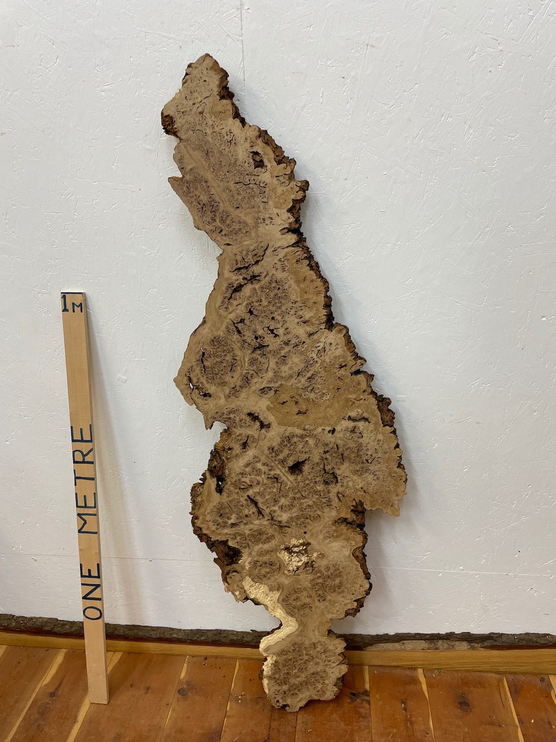 BURR OAK Waney Edge Slab Planed Finish Hardwood Board 1547A-1 Thickness 5.5cm Kiln Dried Seasoned Live Edge Decorative Board Wildwood - Image 10