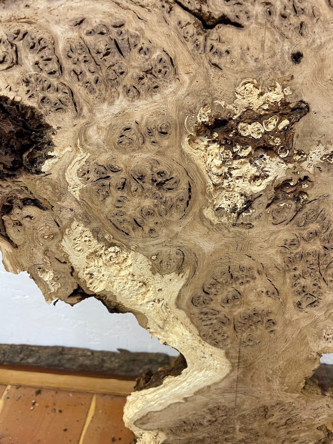 BURR OAK Waney Edge Slab Planed Finish Hardwood Board 1547A-1 Thickness 5.5cm Kiln Dried Seasoned Live Edge Decorative Board Wildwood - Image 11