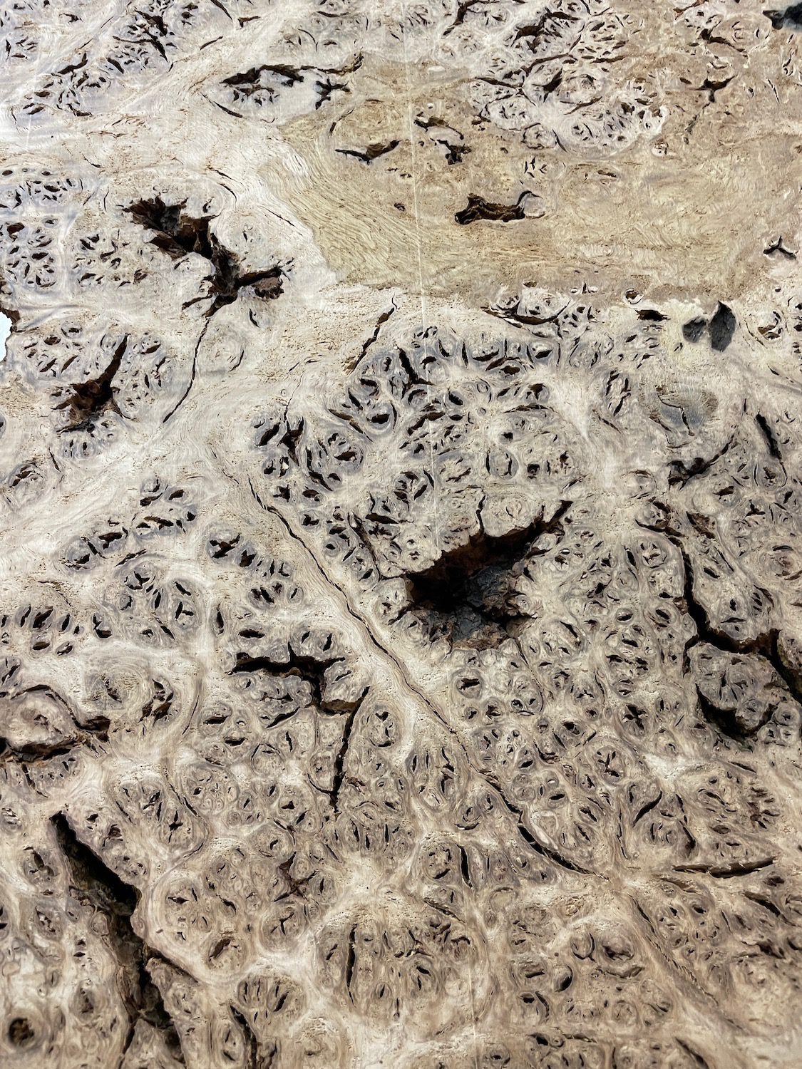 BURR OAK Waney Edge Slab Planed Finish Hardwood Board 1547A-1 Thickness 5.5cm Kiln Dried Seasoned Live Edge Decorative Board Wildwood - Image 12