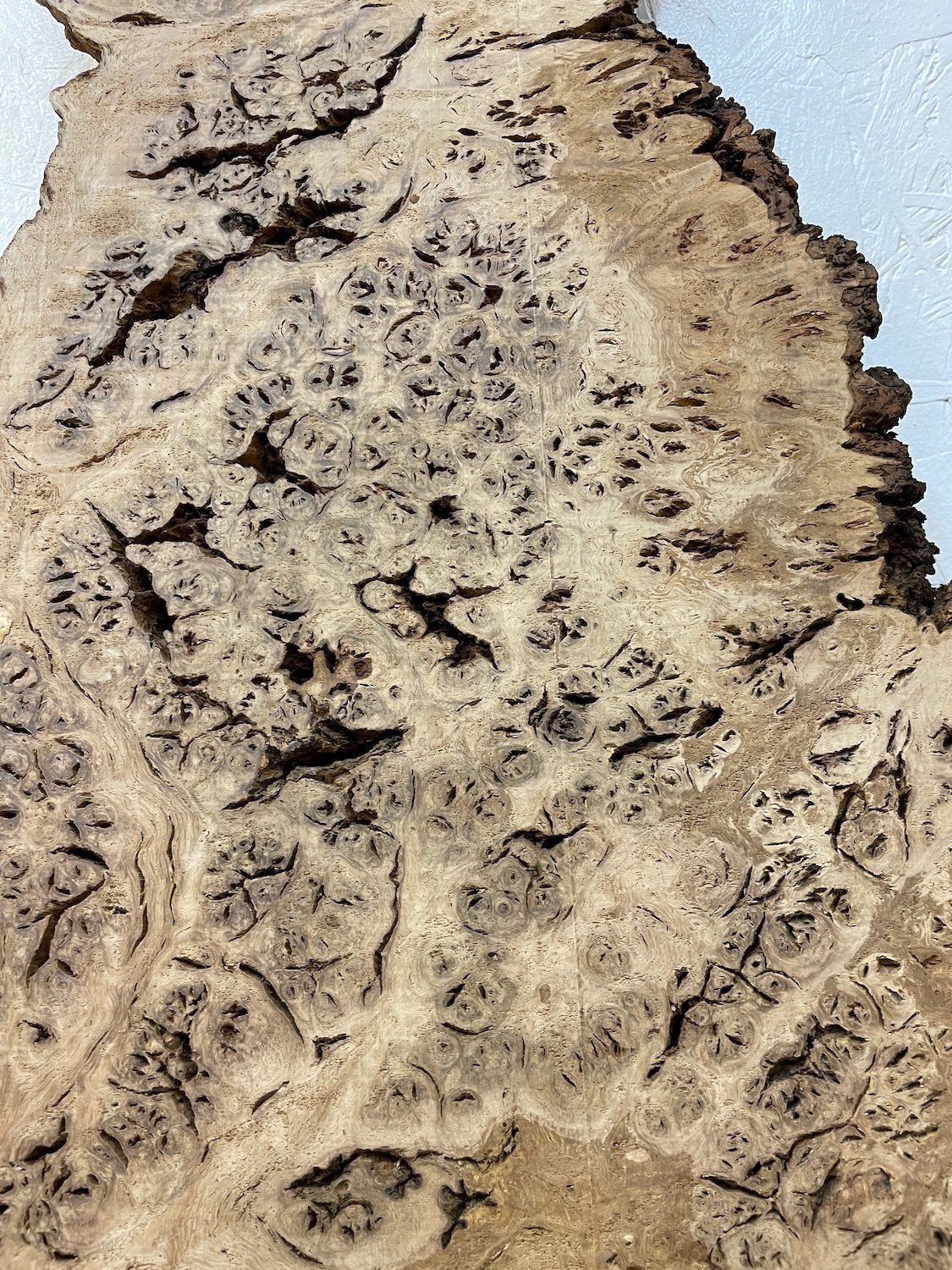 BURR OAK Waney Edge Slab Planed Finish Hardwood Board 1547A-1 Thickness 5.5cm Kiln Dried Seasoned Live Edge Decorative Board Wildwood - Image 13