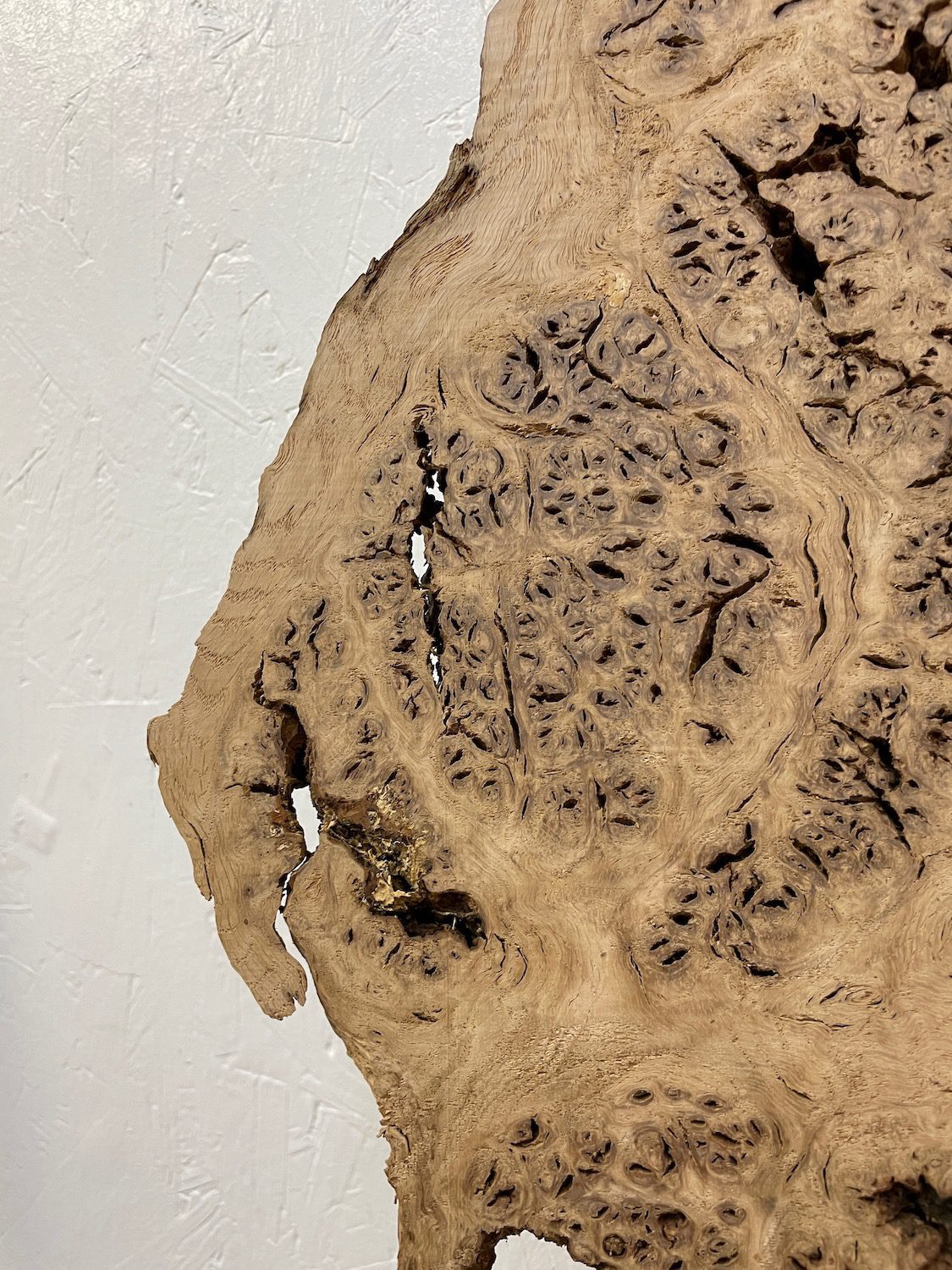 BURR OAK Waney Edge Slab Planed Finish Hardwood Board 1547A-1 Thickness 5.5cm Kiln Dried Seasoned Live Edge Decorative Board Wildwood - Image 14