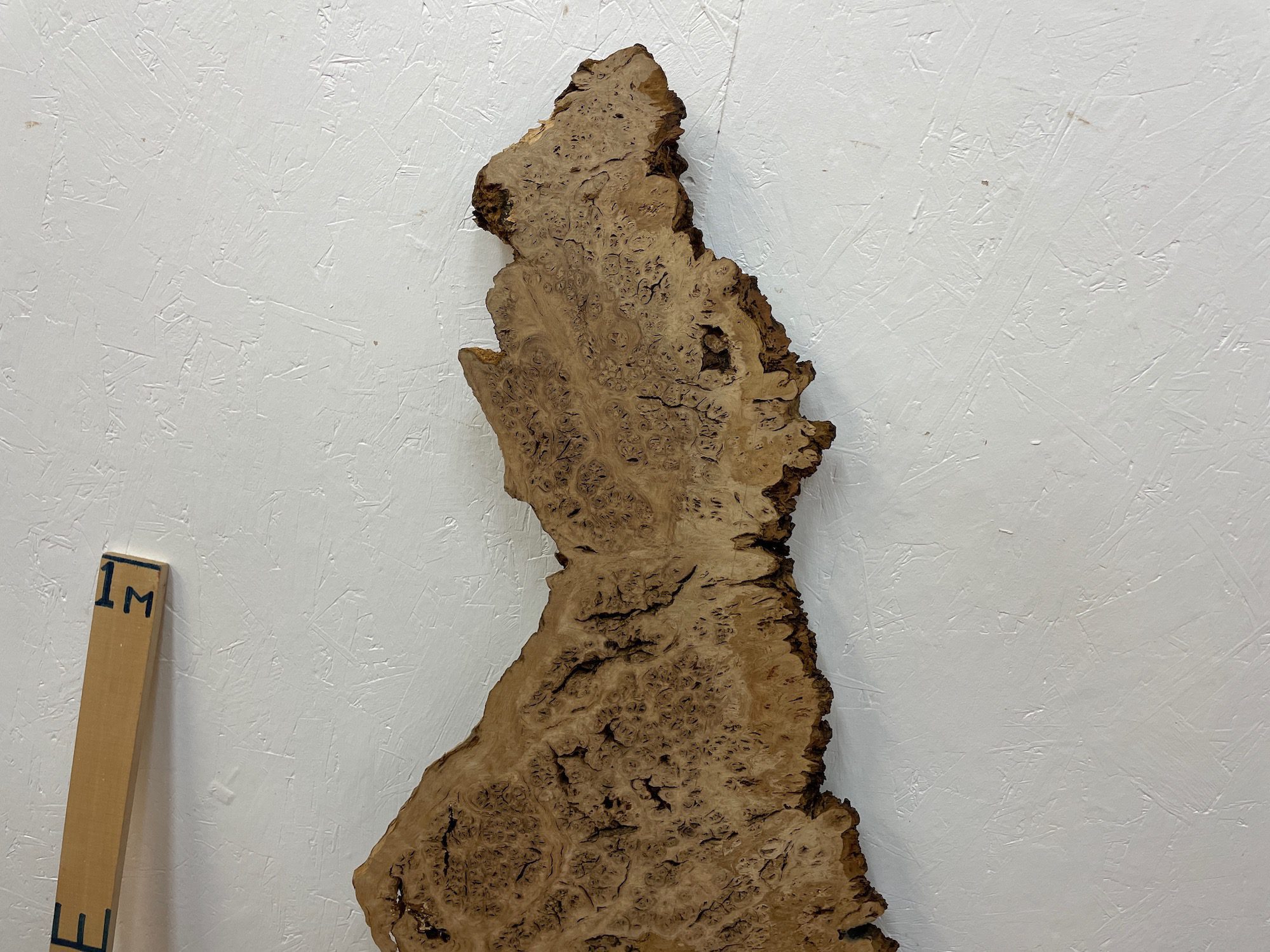 BURR OAK Waney Edge Slab Planed Finish Hardwood Board 1547A-1 Thickness 5.5cm Kiln Dried Seasoned Live Edge Decorative Board Wildwood - Image 15