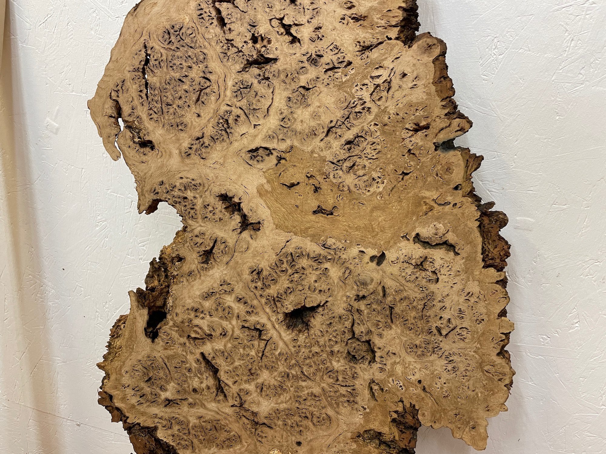 BURR OAK Waney Edge Slab Planed Finish Hardwood Board 1547A-1 Thickness 5.5cm Kiln Dried Seasoned Live Edge Decorative Board Wildwood - Image 16