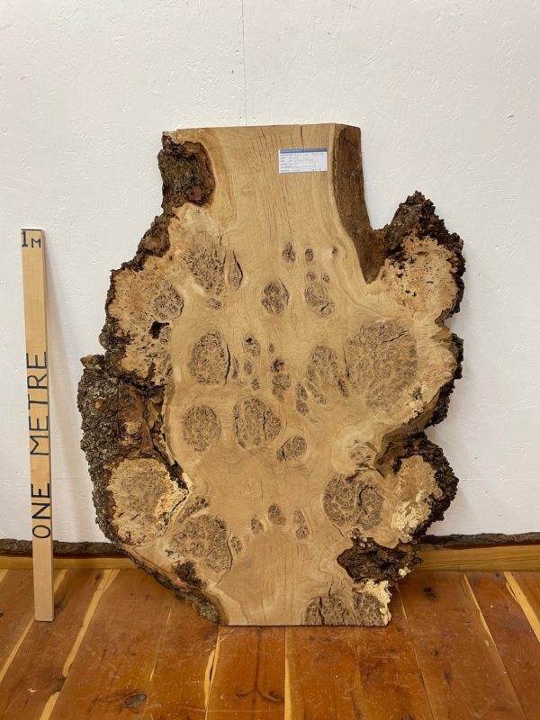 BURR OAK Natural Waney Edge Slab Milled Finish Hardwood Board 1547A-2A Thickness 5.5cm Kiln Dried Seasoned Live Edge Desktops Coffee Tabletops Wildwood Wallart