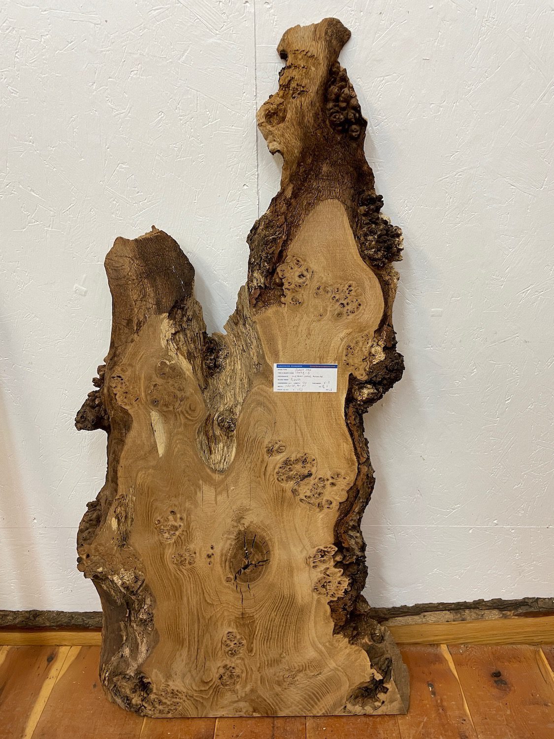 BURRY OAK Waney Edge Slab Planed Finish Hardwood Board 1547C-6 Thickness 5.5cm Kiln Dried Seasoned Live Edge Decorative Board Wildwood Offcut - Image 4