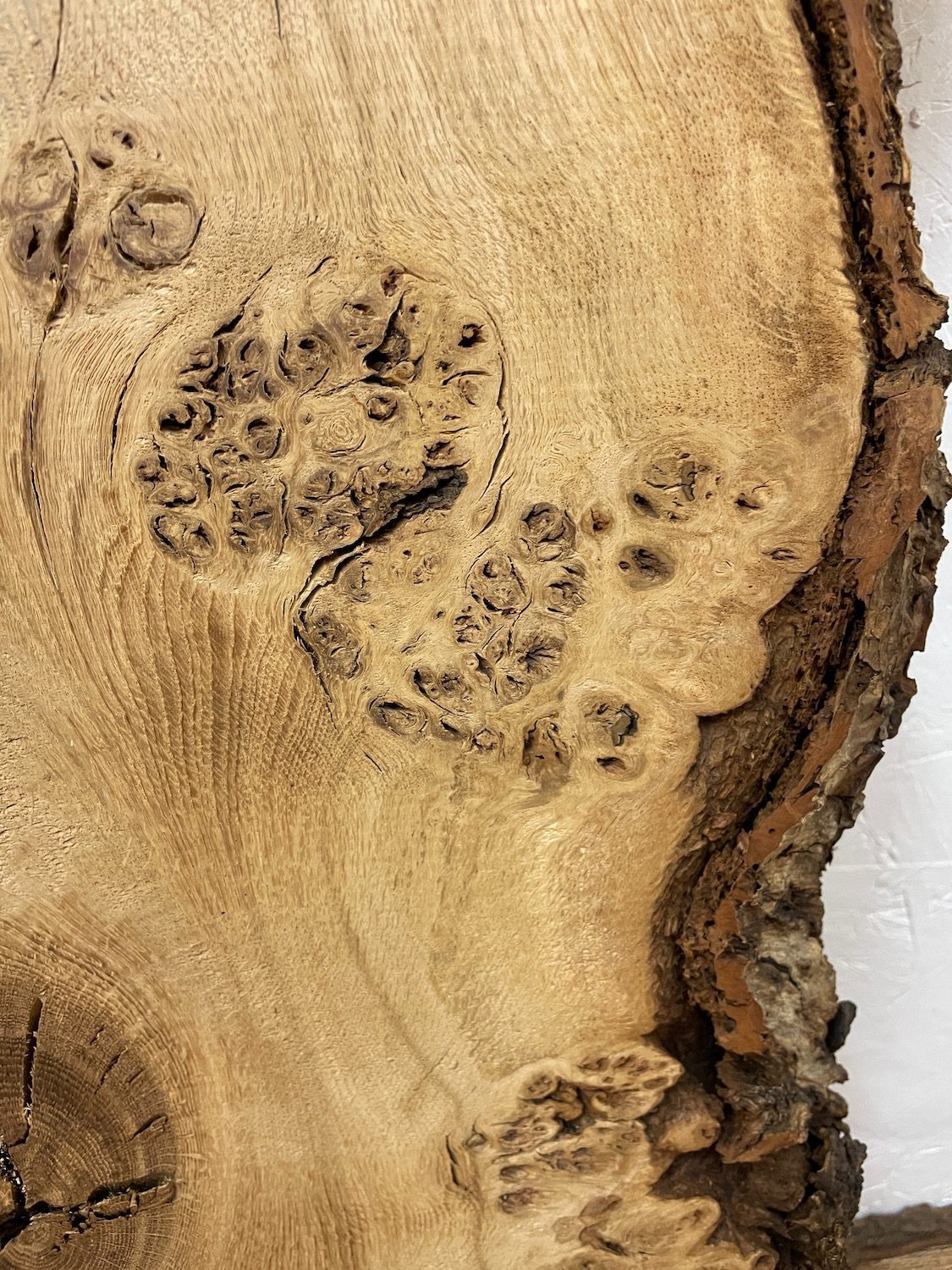 BURRY OAK Waney Edge Slab Planed Finish Hardwood Board 1547C-6 Thickness 5.5cm Kiln Dried Seasoned Live Edge Decorative Board Wildwood Offcut - Image 5