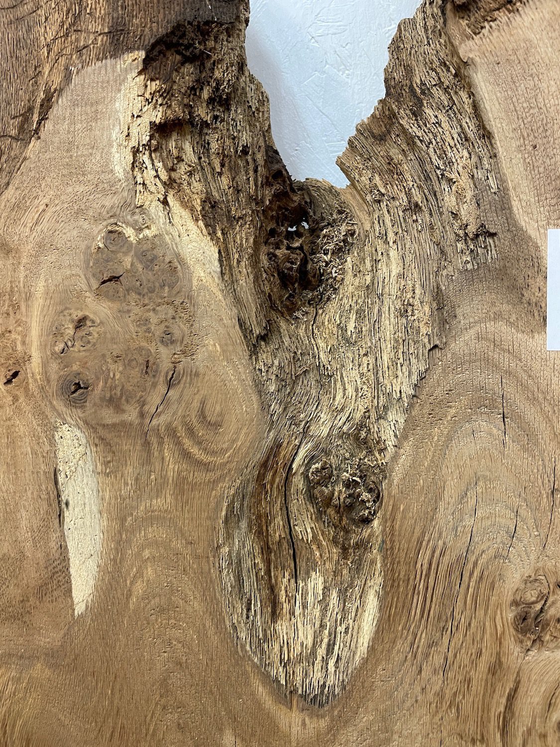 BURRY OAK Waney Edge Slab Planed Finish Hardwood Board 1547C-6 Thickness 5.5cm Kiln Dried Seasoned Live Edge Decorative Board Wildwood Offcut - Image 6