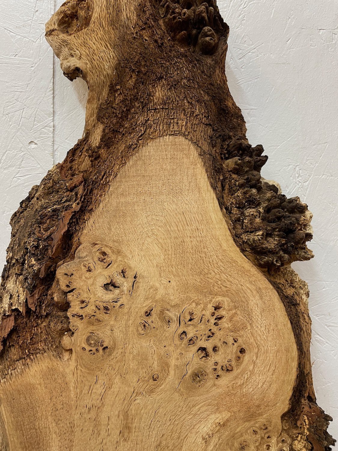 BURRY OAK Waney Edge Slab Planed Finish Hardwood Board 1547C-6 Thickness 5.5cm Kiln Dried Seasoned Live Edge Decorative Board Wildwood Offcut - Image 7