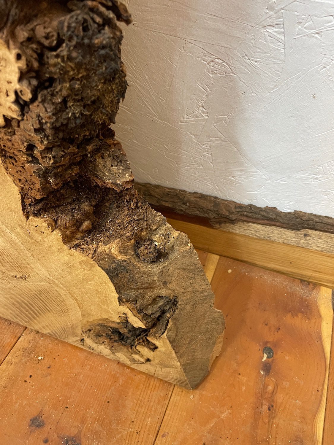 BURRY OAK Waney Edge Slab Planed Finish Hardwood Board 1547C-6 Thickness 5.5cm Kiln Dried Seasoned Live Edge Decorative Board Wildwood Offcut - Image 9