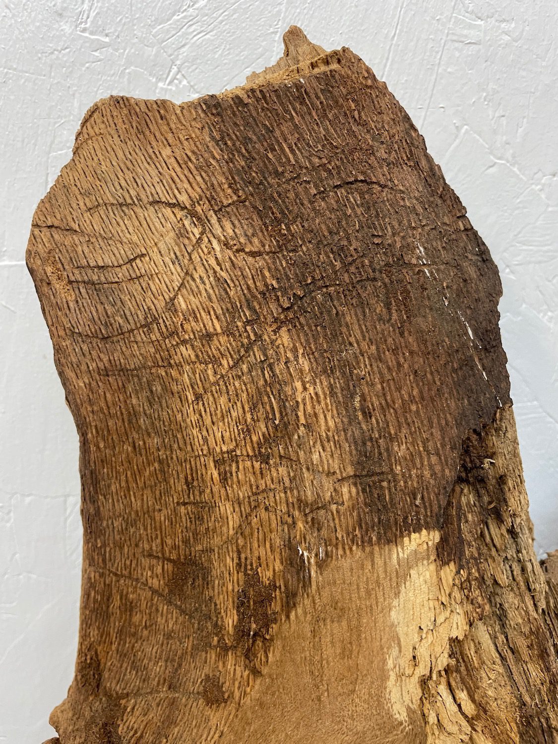 BURRY OAK Waney Edge Slab Planed Finish Hardwood Board 1547C-6 Thickness 5.5cm Kiln Dried Seasoned Live Edge Decorative Board Wildwood Offcut - Image 11