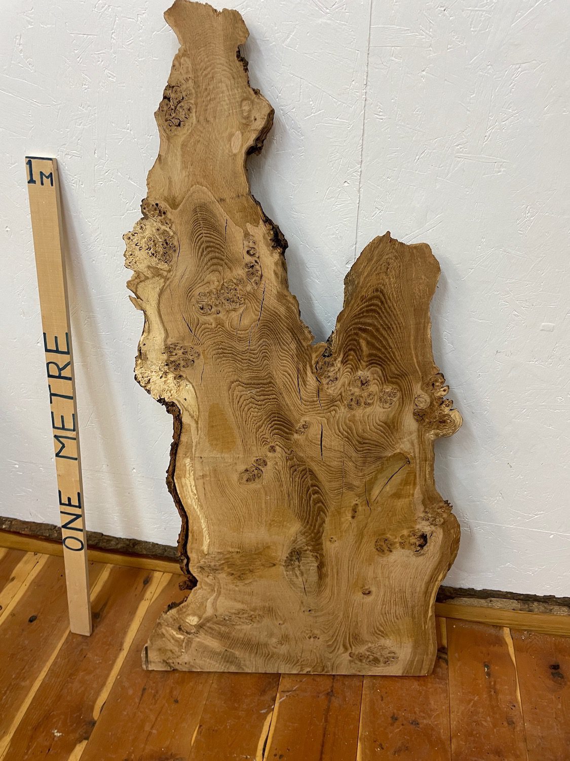 BURRY OAK Waney Edge Slab Planed Finish Hardwood Board 1547C-6 Thickness 5.5cm Kiln Dried Seasoned Live Edge Decorative Board Wildwood Offcut - Image 12