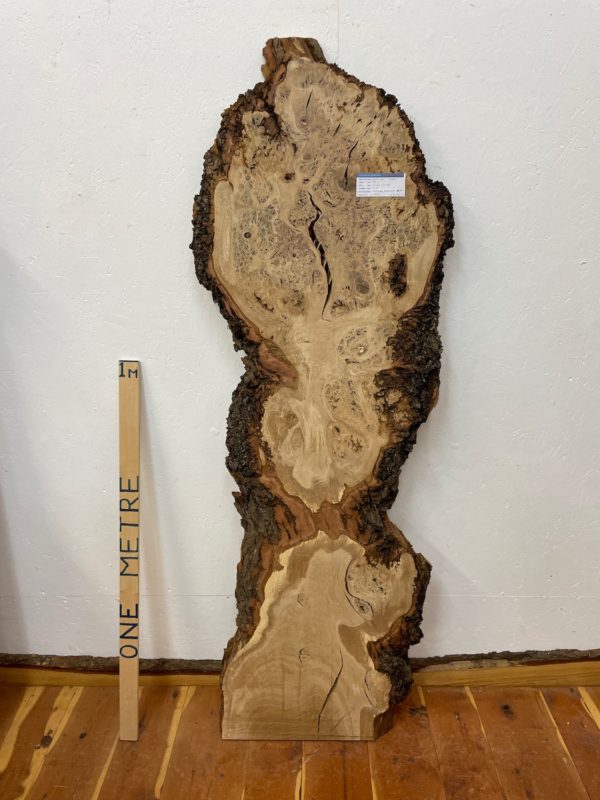BURRY OAK Natural Waney Edge Slab Planed Finish Hardwood Board 1584A-1 Thickness 5.5cm Kiln Dried Seasoned Live Edge Decorative Wildwood Board