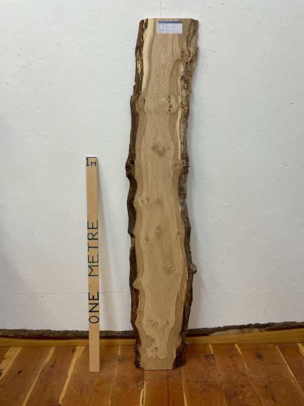 PIPPY OAK Natural Waney Edge Slab Planed Finish Hardwood Board 1689A-16 Thickness 2.8cm Kiln Dried Seasoned Live Edge Wildwood Wallart