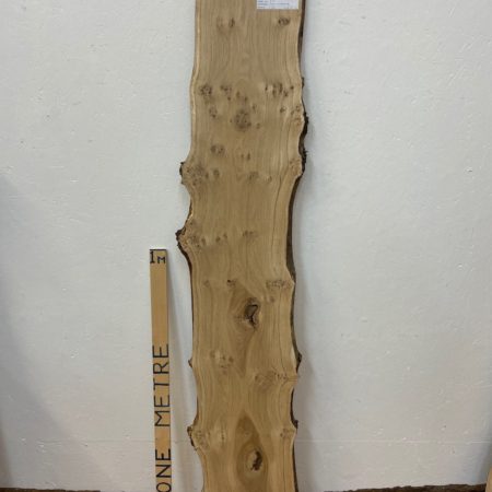 PIPPY OAK Natural Waney Edge Slab Planed Finish Hardwood Board 1690A-7 Thickness 2.5cm Kiln Dried Seasoned Live Edge Wildwood Wallart