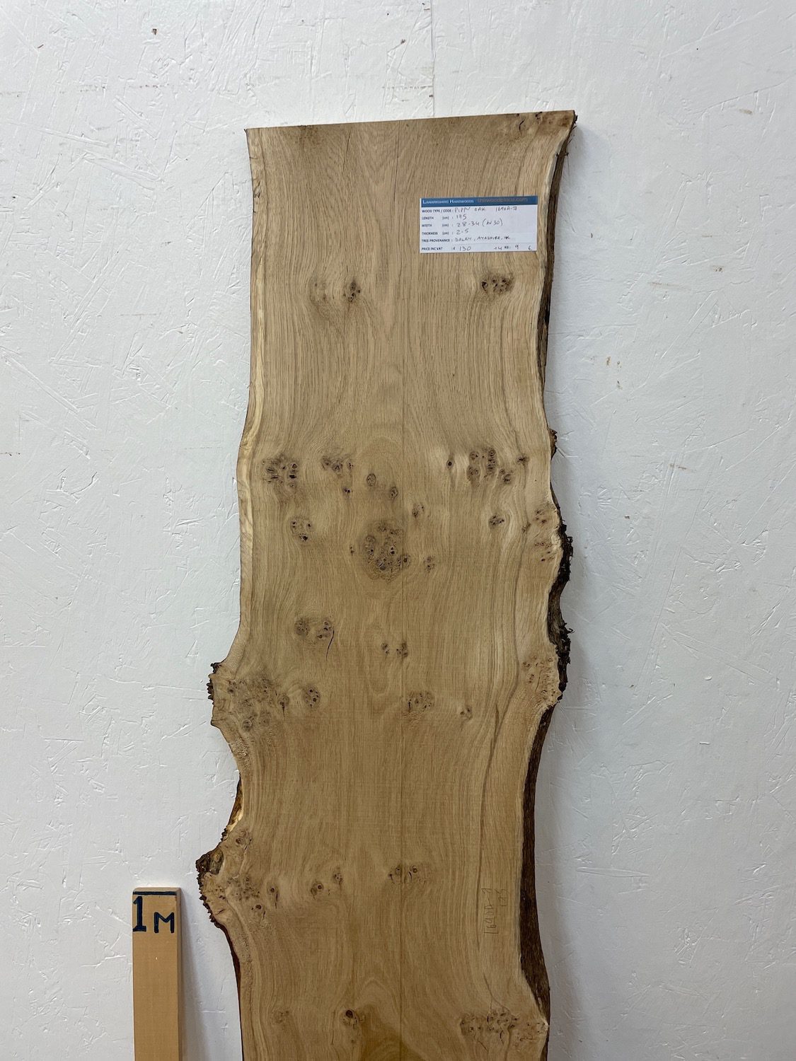 PIPPY OAK Natural Waney Edge Slab Planed Finish Hardwood Board 1690A-7 Thickness 2.5cm Kiln Dried Seasoned Live Edge Wildwood Wallart - Image 4