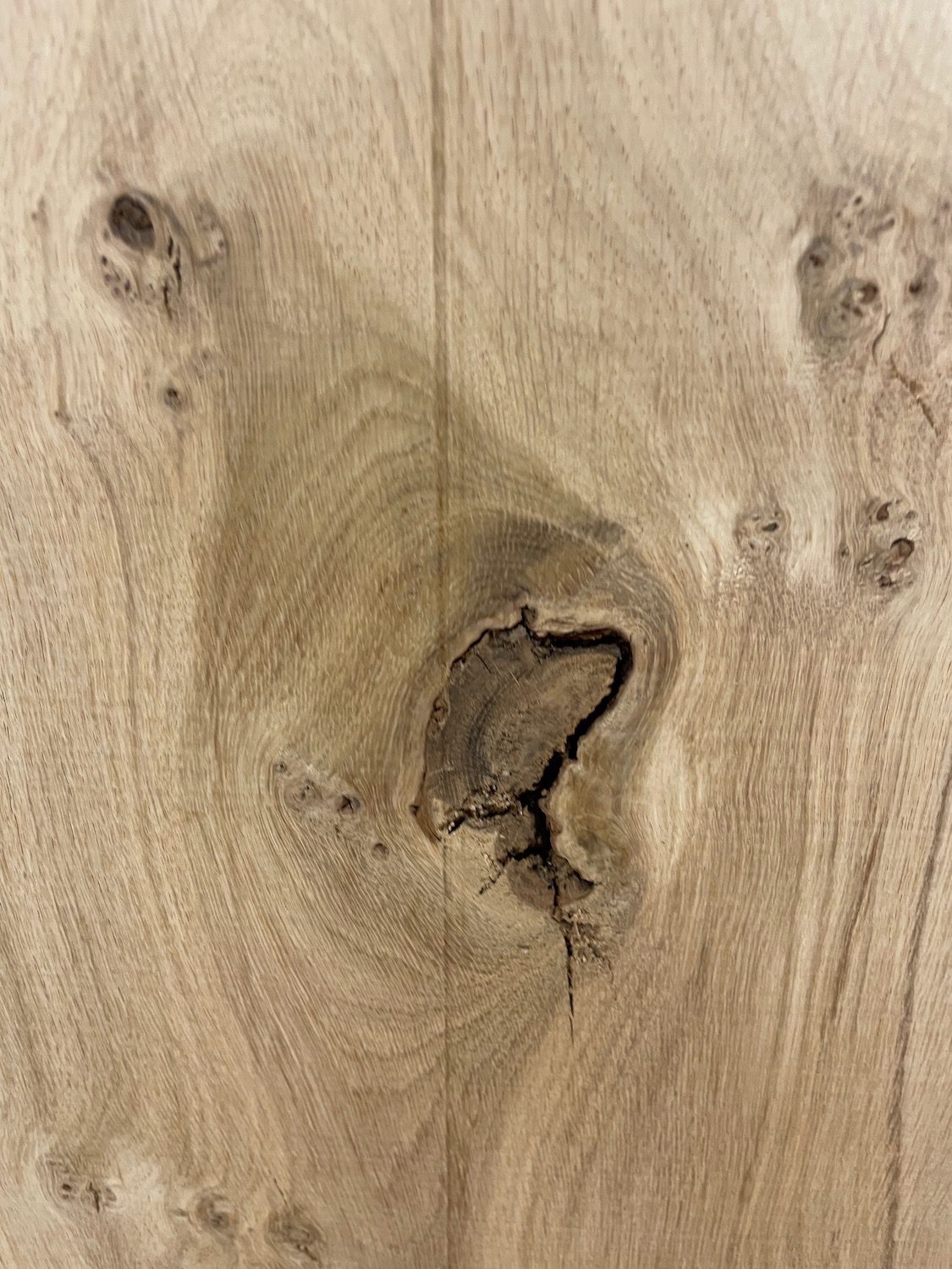 PIPPY OAK Natural Waney Edge Slab Planed Finish Hardwood Board 1690A-7 Thickness 2.5cm Kiln Dried Seasoned Live Edge Wildwood Wallart - Image 8