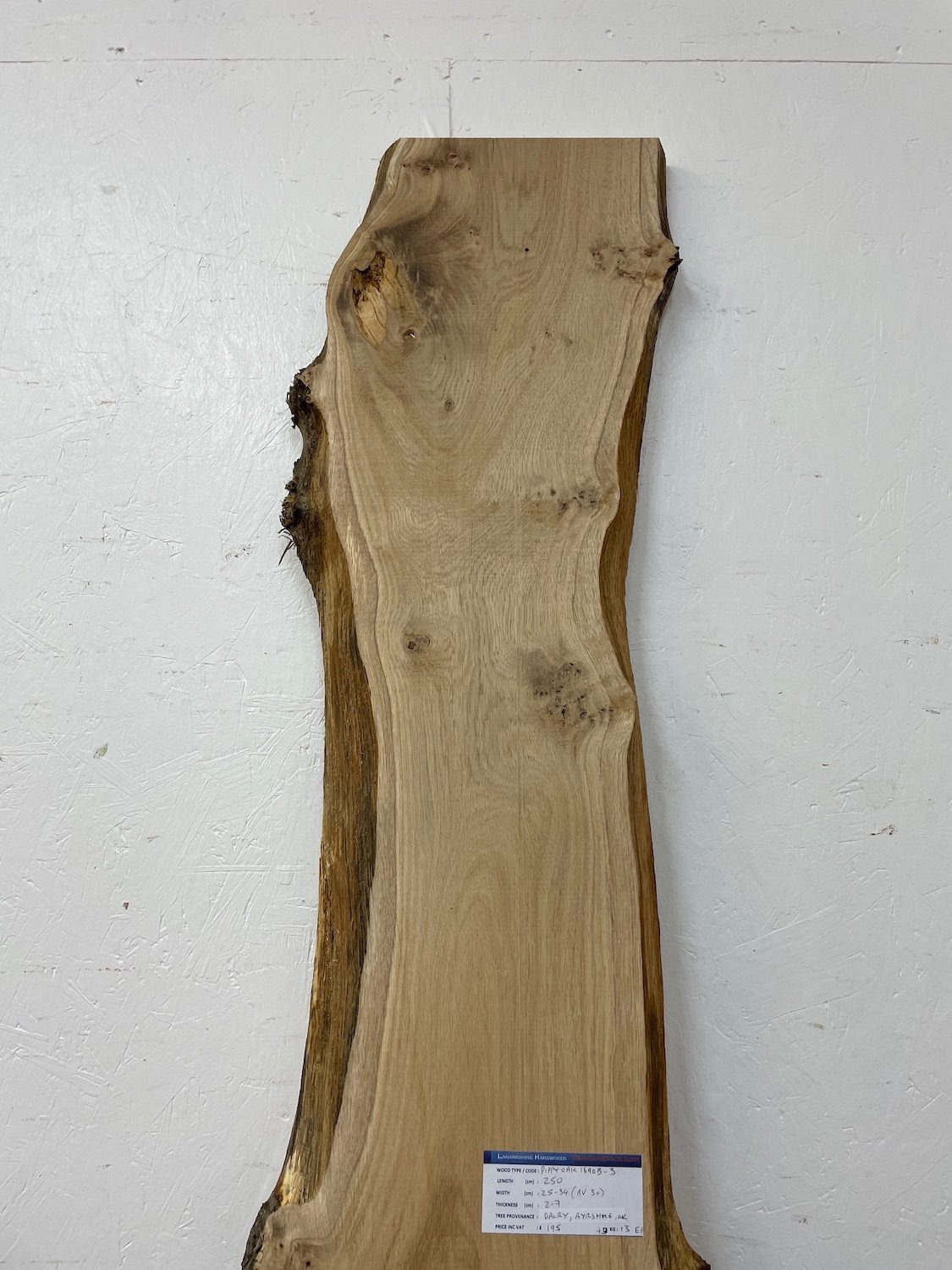PIPPY OAK Natural Waney Edge Slab Planed Finish Hardwood Board 1690B-3 Thickness 2.7cm Kiln Dried Seasoned Live Edge Wildwood Wallart - Image 4