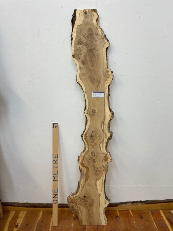 BURRY OAK Natural Waney Edge Slab Planed Finish Hardwood Board 1693-1 Thickness 2.4cm Kiln Dried Seasoned Live Edge Wildwood Wallart