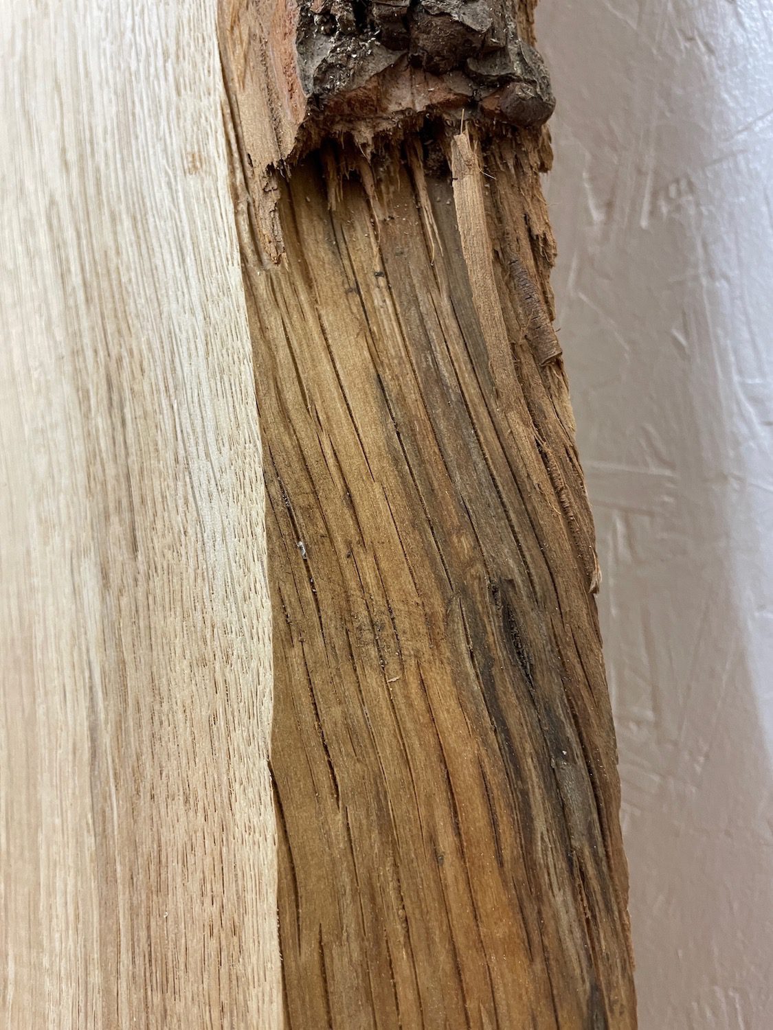 OAK Natural Waney Edge Slab Planed Finish Hardwood Board 1684B-1 Thickness 2.8cm Kiln Dried Seasoned Live Edge Wildwood Wallart - Image 7