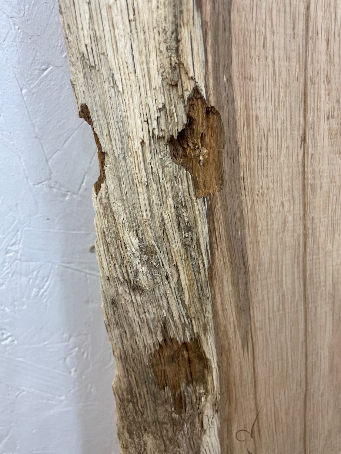 OAK Natural Waney Edge Slab Planed Finish Hardwood Board 1688-2 Thickness 2.8cm Kiln Dried Seasoned Live Edge Wildwood Wallart - Image 12