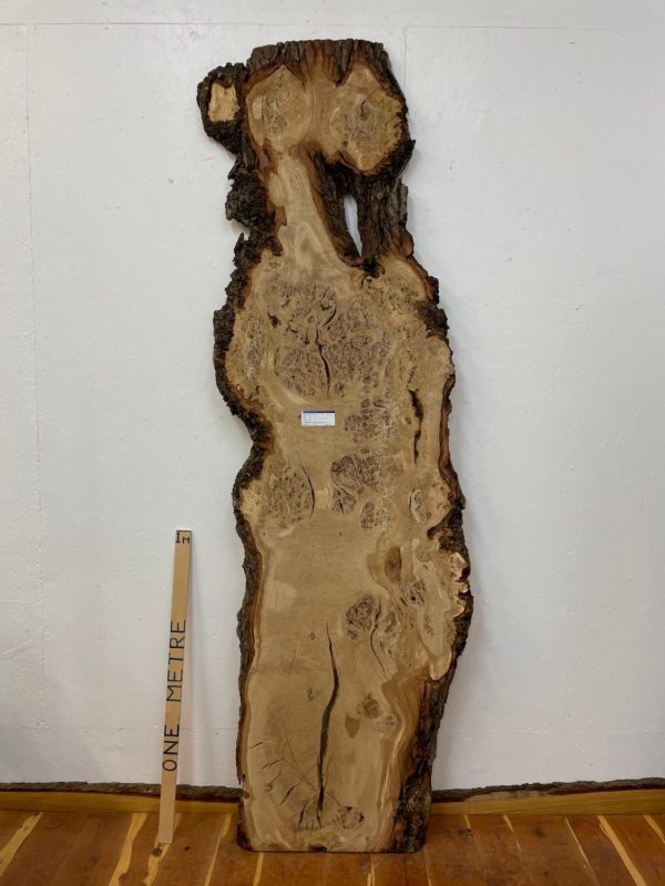 BURRY OAK Natural Waney Edge Slab Milled Finish Hardwood Board 1584A-2 Thickness 5cm Kiln Dried Seasoned Live Edge Desktops Coffee Tabletops Wildwood Wallart Dining Tabletops Worktops Headboards