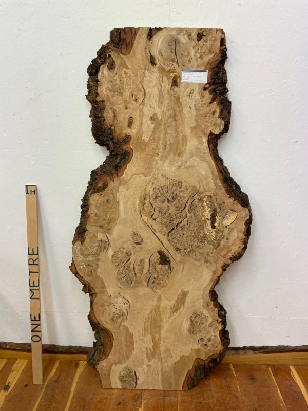 BURRY OAK Natural Waney Edge Slab Milled Finish Hardwood Board 1584A-12 Thickness 5cm Kiln Dried Seasoned Live Edge Desktops Coffee Tabletops Wildwood Wallart Dining Tabletops