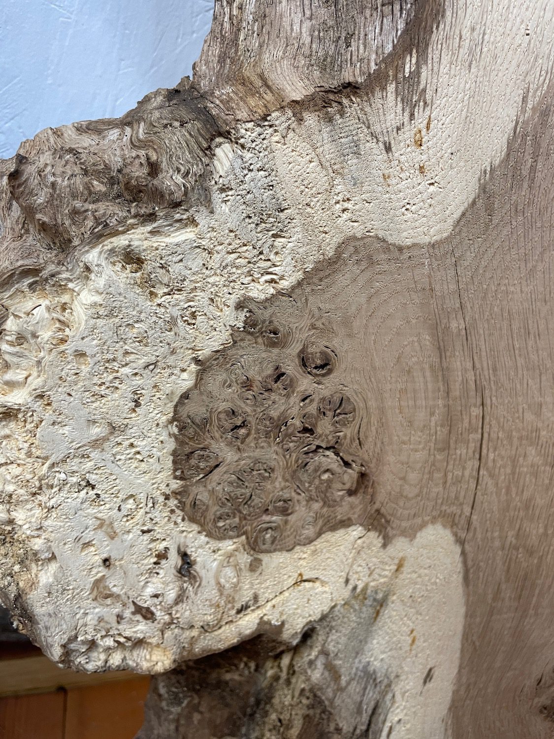 BURRY FIGURED OAK River Table Set Single Waney Edge Slabs Planed Finish Hardwood Boards 1089B-1A/1B Thickness 5cm Kiln Dried Seasoned Live Edge Epoxy Resin Projects Wildwood Desktop Tabletop Wallart Coffee TableTop - Image 11