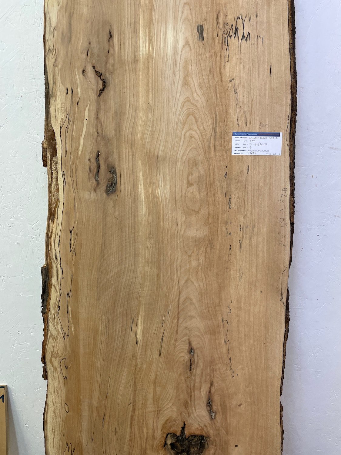 SPALTED BEECH Natural Waney Edge Slab Milled Finish Hardwood Board 1657-2 Thickness 6cm Kiln Dried Seasoned Live Edge Dining Tabletops Worktops Headboards - Image 4