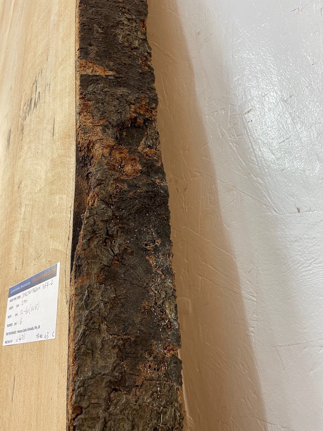 SPALTED BEECH Natural Waney Edge Slab Milled Finish Hardwood Board 1657-2 Thickness 6cm Kiln Dried Seasoned Live Edge Dining Tabletops Worktops Headboards - Image 13