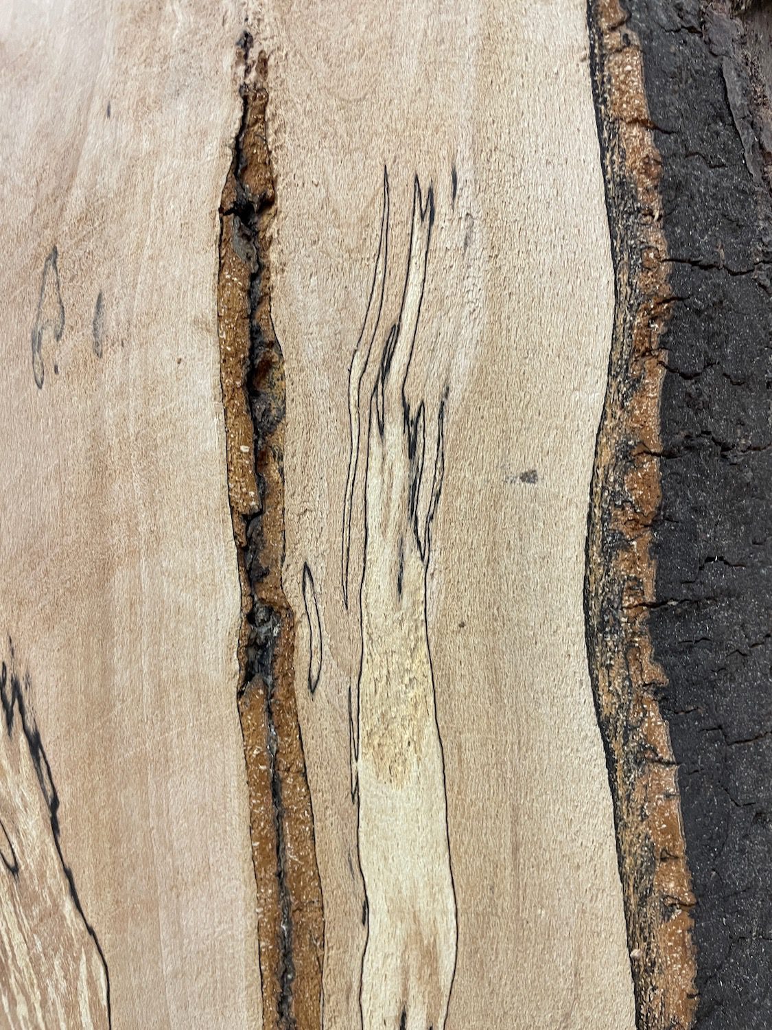 SPALTED BEECH Natural Waney Edge Slab Milled Finish Hardwood Board 1657-1A Thickness 6cm Kiln Dried Seasoned Live Edge Coffee Tabletops - Image 7