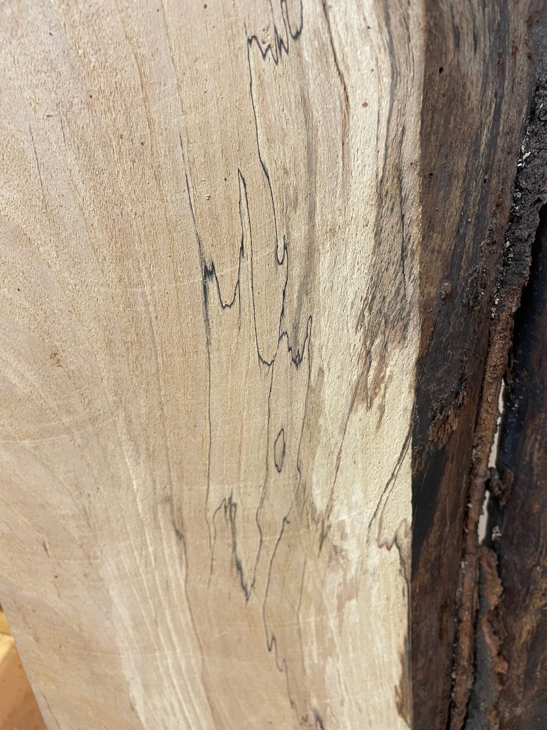 SPALTED BEECH Single Waney Natural Edge Milled Finish Hardwood Board 1658-3 Thickness 6cm Kiln Dried Seasoned Live Edge Shelves Mantels - Image 7