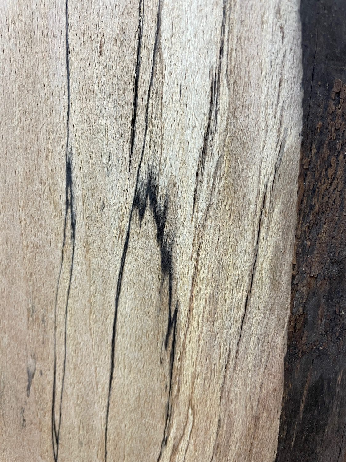 SPALTED BEECH Single Waney Natural Edge Milled Finish Hardwood Board 1658-3 Thickness 6cm Kiln Dried Seasoned Live Edge Shelves Mantels - Image 8