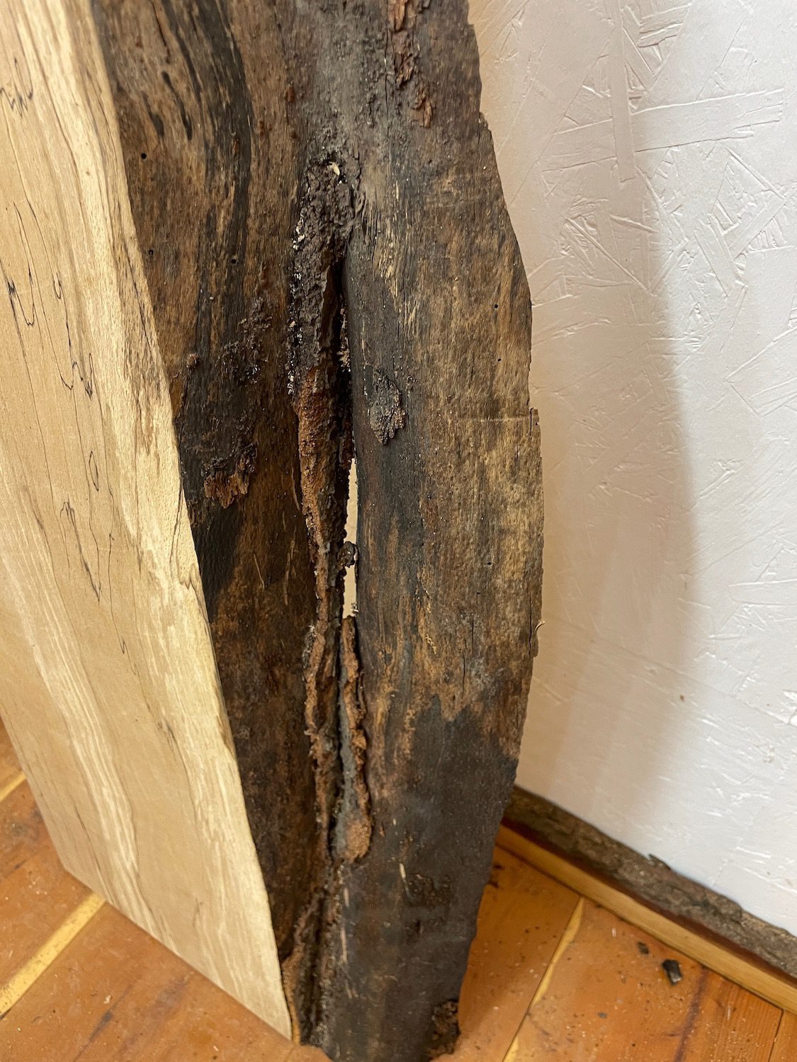 SPALTED BEECH Single Waney Natural Edge Milled Finish Hardwood Board 1658-3 Thickness 6cm Kiln Dried Seasoned Live Edge Shelves Mantels - Image 12