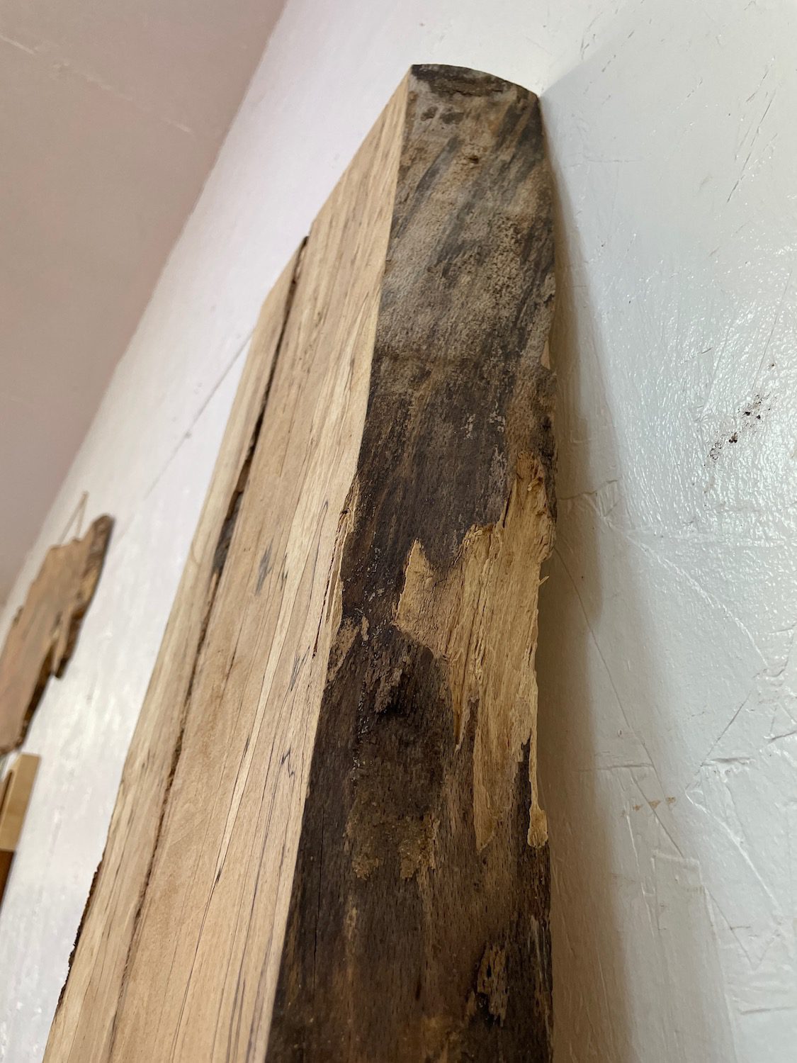 SPALTED BEECH Single Waney Natural Edge Milled Finish Hardwood Board 1658-3 Thickness 6cm Kiln Dried Seasoned Live Edge Shelves Mantels - Image 14