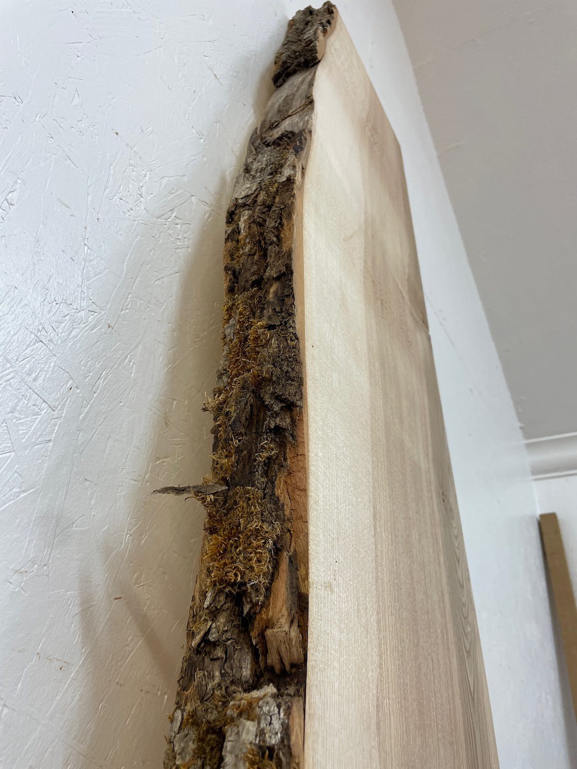 OLIVE ASH Single Waney Edge Slab Planed Finish Hardwood Board 1656-10 Thickness 6.5cm Kiln Dried Seasoned Live Edge Wildwood Shelves Mantels - Image 11
