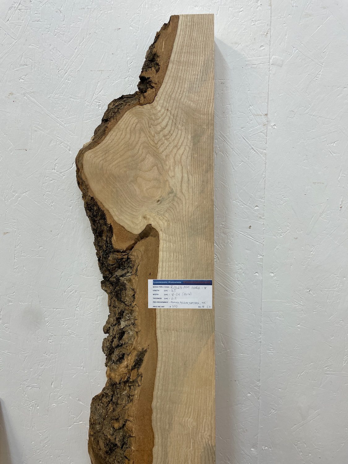 ASH Single Waney Edge Slab Planed Finish Hardwood Board 1666A-8 Thickness 6.5cm Kiln Dried Seasoned Live Edge Wildwood Shelves Mantels - Image 4