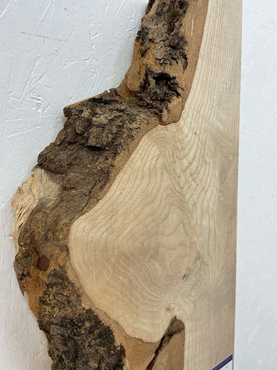 ASH Single Waney Edge Slab Planed Finish Hardwood Board 1666A-8 Thickness 6.5cm Kiln Dried Seasoned Live Edge Wildwood Shelves Mantels - Image 7