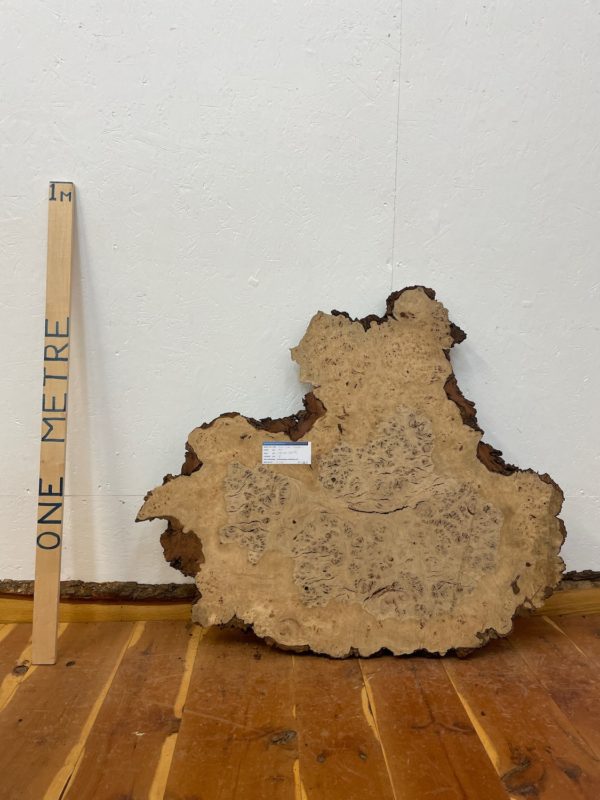 BURR OAK Natural Waney Edge Slab Milled Finish Hardwood Board 1468A-1 Thickness 5cm Kiln Dried Seasoned Live Edge Coffee Tabletops Wildwood Wallart