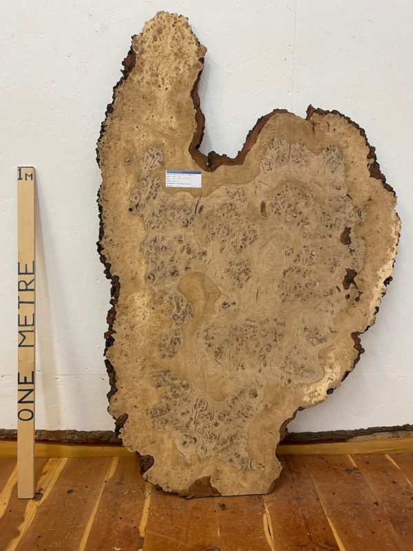 RIPPLE FIGURED BURR OAK Natural Waney Edge Slab Milled Finish Hardwood Board 1468A-2 Thickness 5cm Kiln Dried Seasoned Live Edge Coffee Tabletops Desks Wildwood Wallart