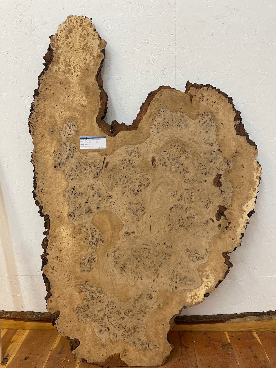 RIPPLE FIGURED BURR OAK Natural Waney Edge Slab Milled Finish Hardwood Board 1468A-2 Thickness 5cm Kiln Dried Seasoned Live Edge Coffee Tabletops Desks Wildwood Wallart - Image 4